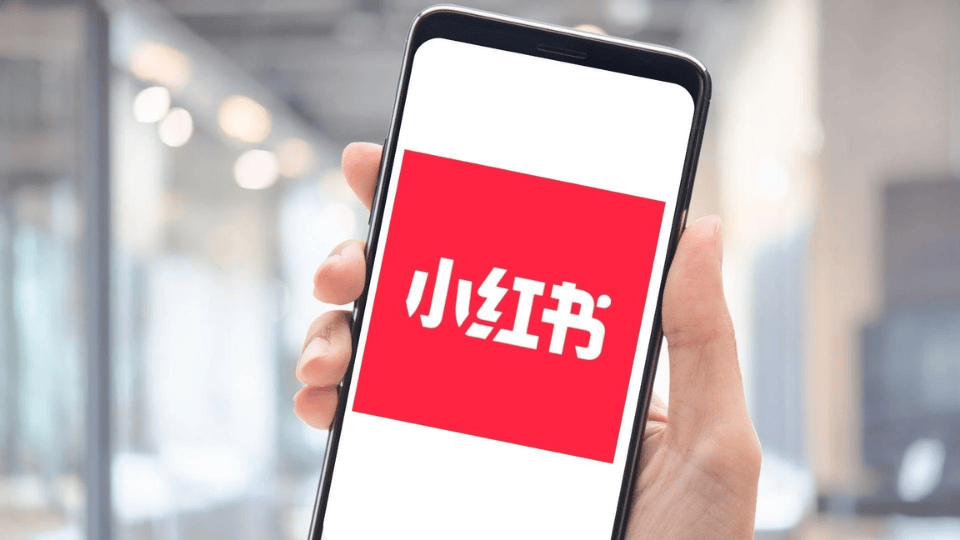 Little Redbook (Xiaohongshu) marketing campaign featuring product reviews and influencer recommendations.